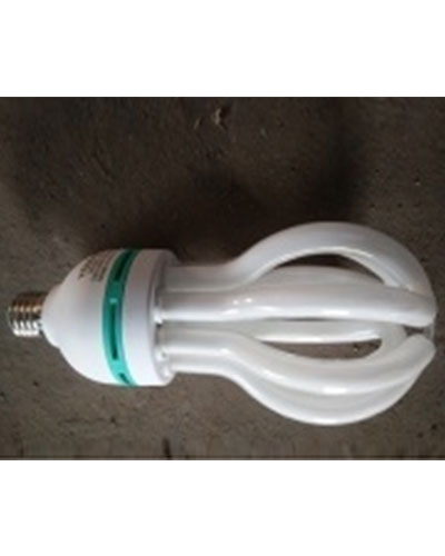 Energy Saving Light 17