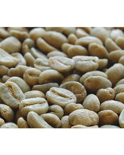 Coffee beans 7