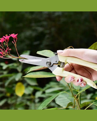 Pruning Tool  2