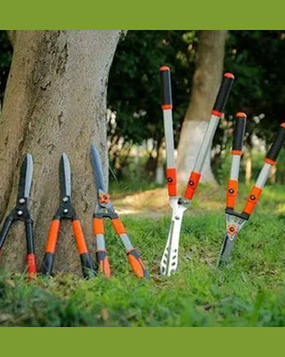 Pruning Tool  5