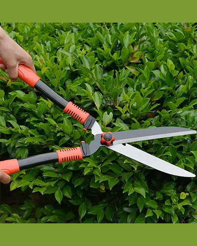 Pruning Tool  8