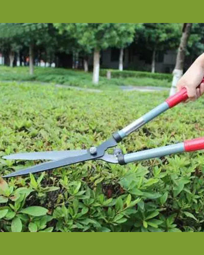 Pruning Tool  9