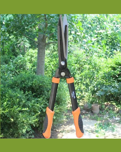 Pruning Tool 10
