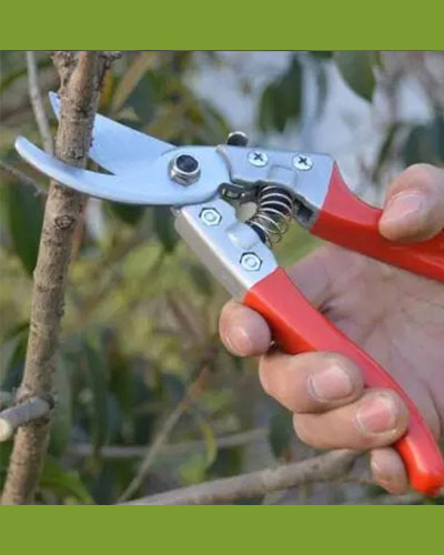 Pruning Tool  12