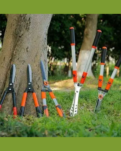 Pruning Tool  18