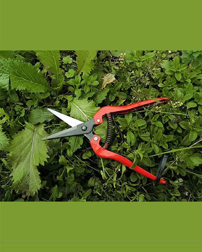 Pruning Tool 21